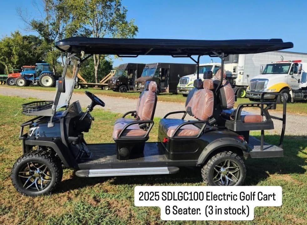 2025 SDLGC100 Electric Golf Cart, 6-seater, available in stock, ideal for outdoor fun.
